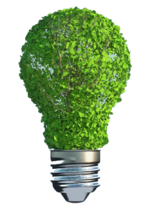 Green Innovation - Strategic Thinking