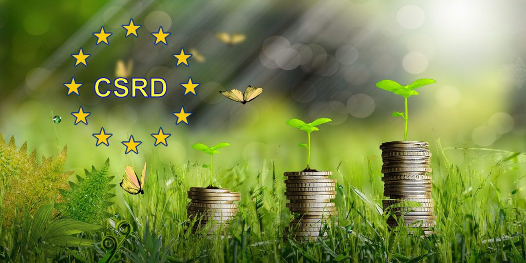 Geschäftschance CSRD - Strategic Thinking